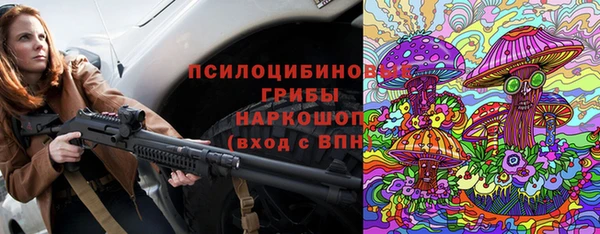 мет Арсеньев