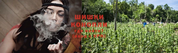 эйфоретик Баксан