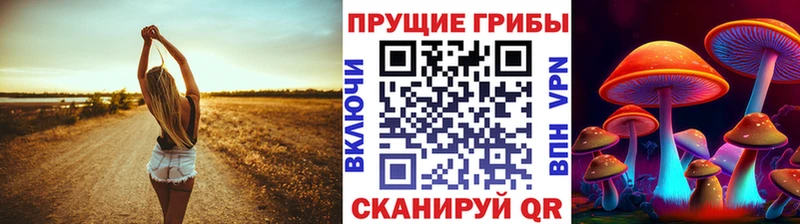 kraken tor  Опочка  Галлюциногенные грибы Psilocybine cubensis 