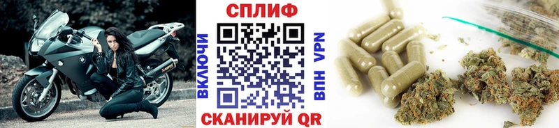 Каннабис индика  купить   Опочка 